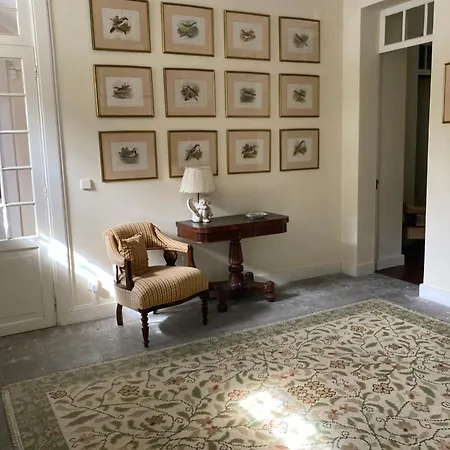 Bed and breakfast Quinta Palmeiras