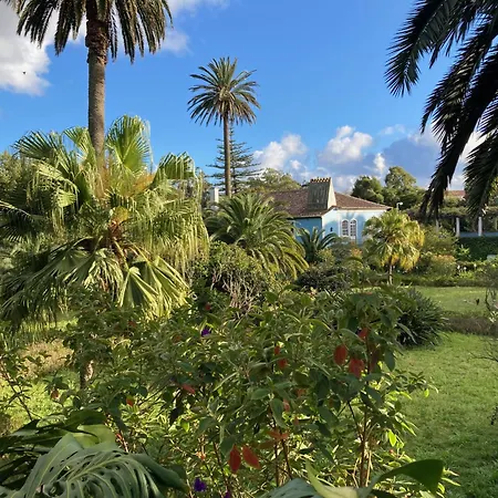 Bed & Breakfast Quinta Palmeiras *