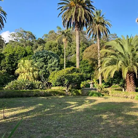 Bed and breakfast Quinta Palmeiras