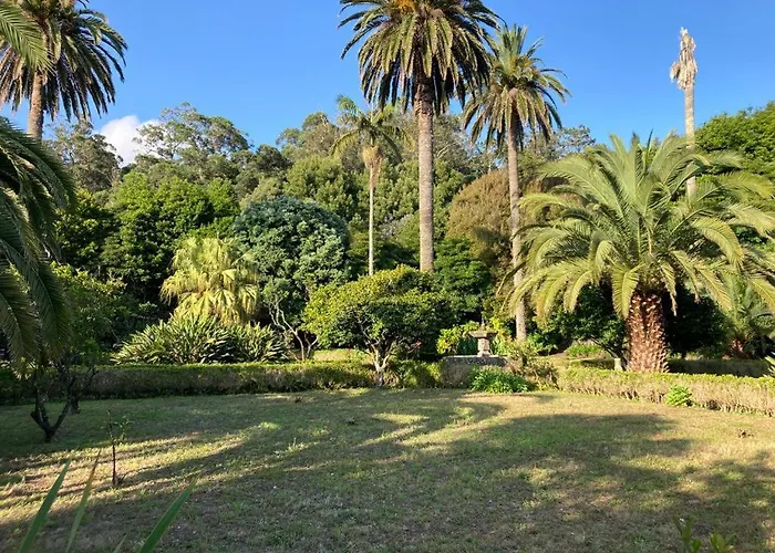 Bed & Breakfast Quinta Palmeiras